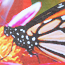 Liena-
