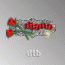 dtb