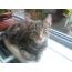 gebruiker_268351