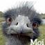 moiikke1