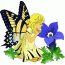 tilem