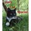 jodycatchannel