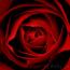 Cath_xxx