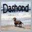 dashond