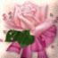 rachellovelygifts
