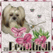 clubplaatje