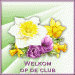 clubplaatje