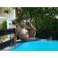 erwees_4724