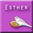 __esther__