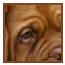 mopske_