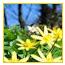 marleen54
