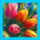 Lida_