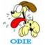 Odie-hond