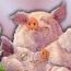 martine612