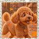 Lida_