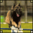 mieke_