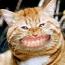 --marloes--