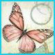 dien_